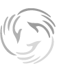 Young Investigator Development Programs | Grants, Awards, & Programs | AFSH